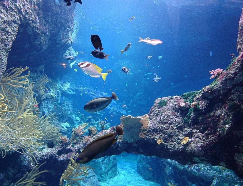 JOURNÉE À BIARRITZ