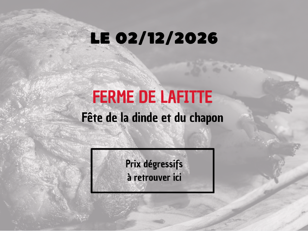 Journée à la Ferme Lafitte, fête de la dinde et du chapon